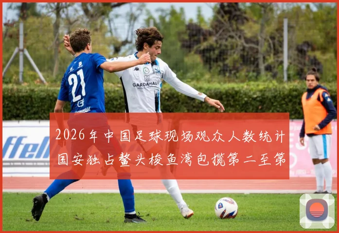 2026年中国足球现场观众人数统计国安独占鳌头梭鱼湾包揽第二至第七位